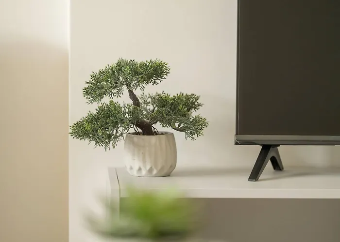 Bright Near The Zoo And Mtp By Renters *